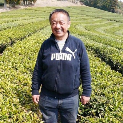 Takayuki standing among the tea bushes at Tarui Tea Farm